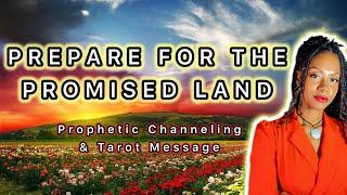 Last Lessons of the #Prodigal | #prophetic Channeling w/ #tarot