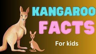 Must-Know Kangaroo Facts for Children