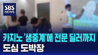 카지노 '생중계'에 전문 딜러까지…도심 도박장 / SBS