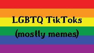 lgbtq+ tiktok compilation (mostly memes)