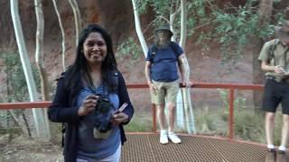 Uluru highlights|Waterhole|Base tour|Brisbane Fiji Indian