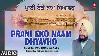 PRANI EKO NAAM DHYAVHO | BHAI BALDEV SINGH WADALA | PRANI EKO NAAM DHYAVHO