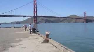 1e sf film