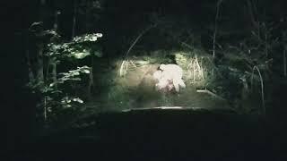 Transalp - первое падение