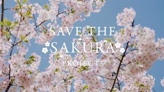 【SAVE THE SAKURA PROJECT】ソメイヨシノを後世に残すためのアクション