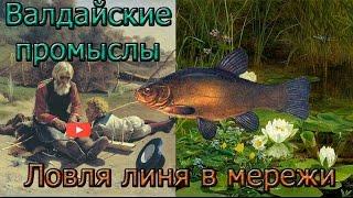 Ловля линя в мережи. Tench Fishing in trammel.