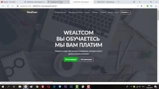 Платформа с щедрыми партнерскими выплатами! Инструкция по платформе Wealtcom. Полный обзор сайта