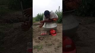 Survival Rat Hunt 95 #shortsfeed #rattrap #farmer #hunt #survival #viralvideo