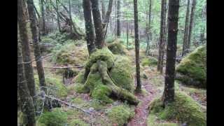 Hiking North Granite Ridge Trail