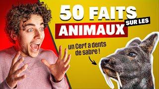 50 faits incroyables sur les animaux !