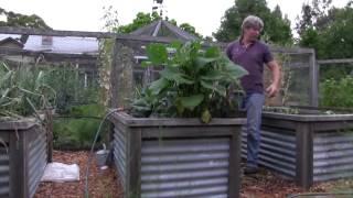 Chris Francis Raised Veggie Beds.