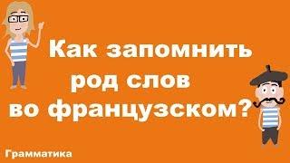 Как запомнить род слов во французском?