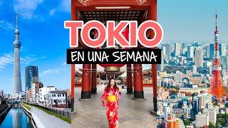 ¿Qué hacer en Tokio en una semana?