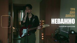 Три дня дождя - Неважно (cover)