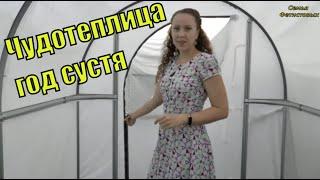 Чудотеплица год спустя. Что с ней стало?!/ Семья Фетистовых