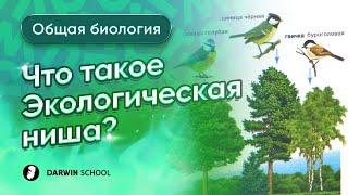 Экологическая ниша