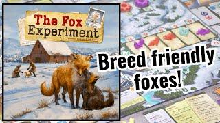 How to play the board game Fox experiment.