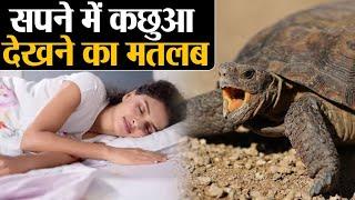 seeing turtle in dream | tortoise seen in dream | turtle in dream meaning | knowledge ultimate