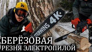 Берёзовая резня электропилой. Пила Sterwins 2400 Вт пилит берёзы на участке как по маслу.