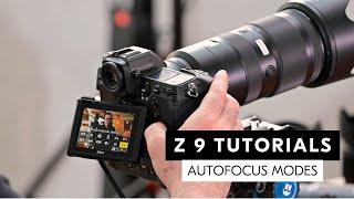 Nikon Z 9 tutorial: Setting up the right Autofocus modes for all situations