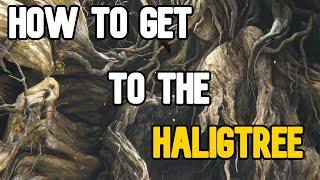 How to get to the Halig Tree