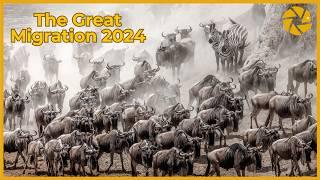 The Great Migration 2024