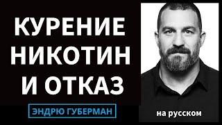 Влияние никотина на мозг и тело и как бросить курить или вейпинг | Эндрю Губерман на русском