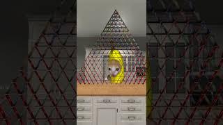 HELP Bananacat Build House of Cards #gmod 