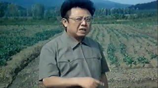 Comrade Kim Jong Il even worked on holidays