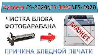 #136 Принтер Kyocera FS-2020 \ FS-3920 \ FS4020 МАЖЕТ | Как снять и почистить блок барабана DK-320