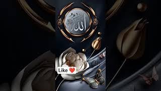 wo Mera nabi hai #naatsatus #beautiful #love #lyrics #nasheed #naat #hijab #islamicquotes