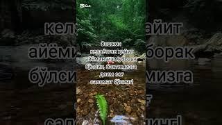 ОНАЖОН ХАЙИТ АЙЁМ МУБОРАК
