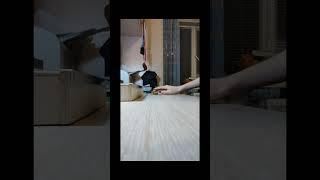 360 flip #fingerboard #фингербординг