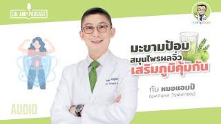 มะขามป้อม สมุนไพรผลจิ๋ว เสริมภูมิคุ้มกัน by หมอแอมป์  [Dr.Amp Podcast] [Sub Thai]