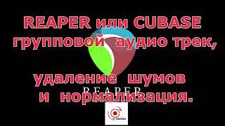 REAPER или CUBASE  групповой  аудио трек,удаление  шумов и нормализация.