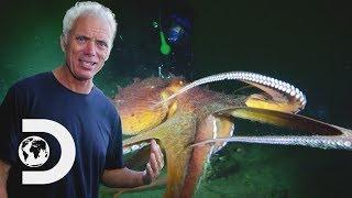 Jeremy May Have Found The Lusca Monster Of The Blue Holes | River Monsters