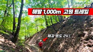 내리막길 4시간, 편안하고 시원하게 다녀왔습니다 - 산림청이 지정한 국가 숲길 10km