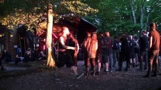 Forest Fest 2015 *