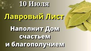 10 Июля Золотой День Изобилия. Лавровый лист наполнит дом особыми энергиями. Лунный календарь