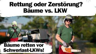 Rettung oder Zerstörung? – Bäume retten vor Schwerlast-LKWs! 