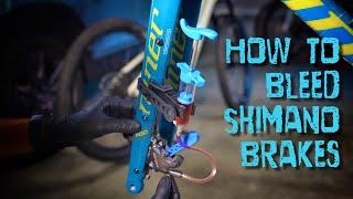 How to Bleed Shimano Brakes: Complete Guide