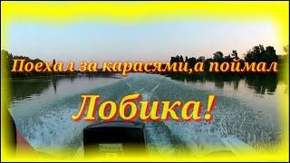 Рыбалка на Кубани!Поехал за карасями,а поймал ТОЛСТОЛОБИКА!