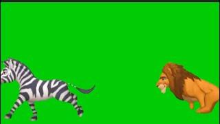 Green Screen Running Animals | Animals stampede #greenscreen #stampede #animals