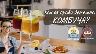 Как се прави домашна комбуча? - Tina's Good Food