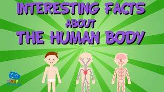 Interesting facts about The Human Body | Educational Video for Kids.