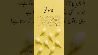 Khamoshi Bhi Dua Ban Jati Hay | Aqwal e Zareen #urdupoetry #islamicshorts #shorts