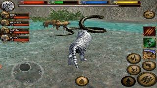 Furious Tiger VS Angry Giant Anaconda, Ultimate Jungle Simulator