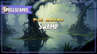 Swamp | Pure Ambience