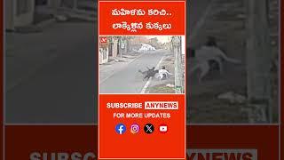 మహిళను కరిచి..లాక్కెళ్లిన కుక్కలు||Any News #agra #media #news #dogsattacked #localpeople