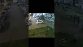 В Самаре девушка пнула чужую собаку и попала под гнев её хозяев.